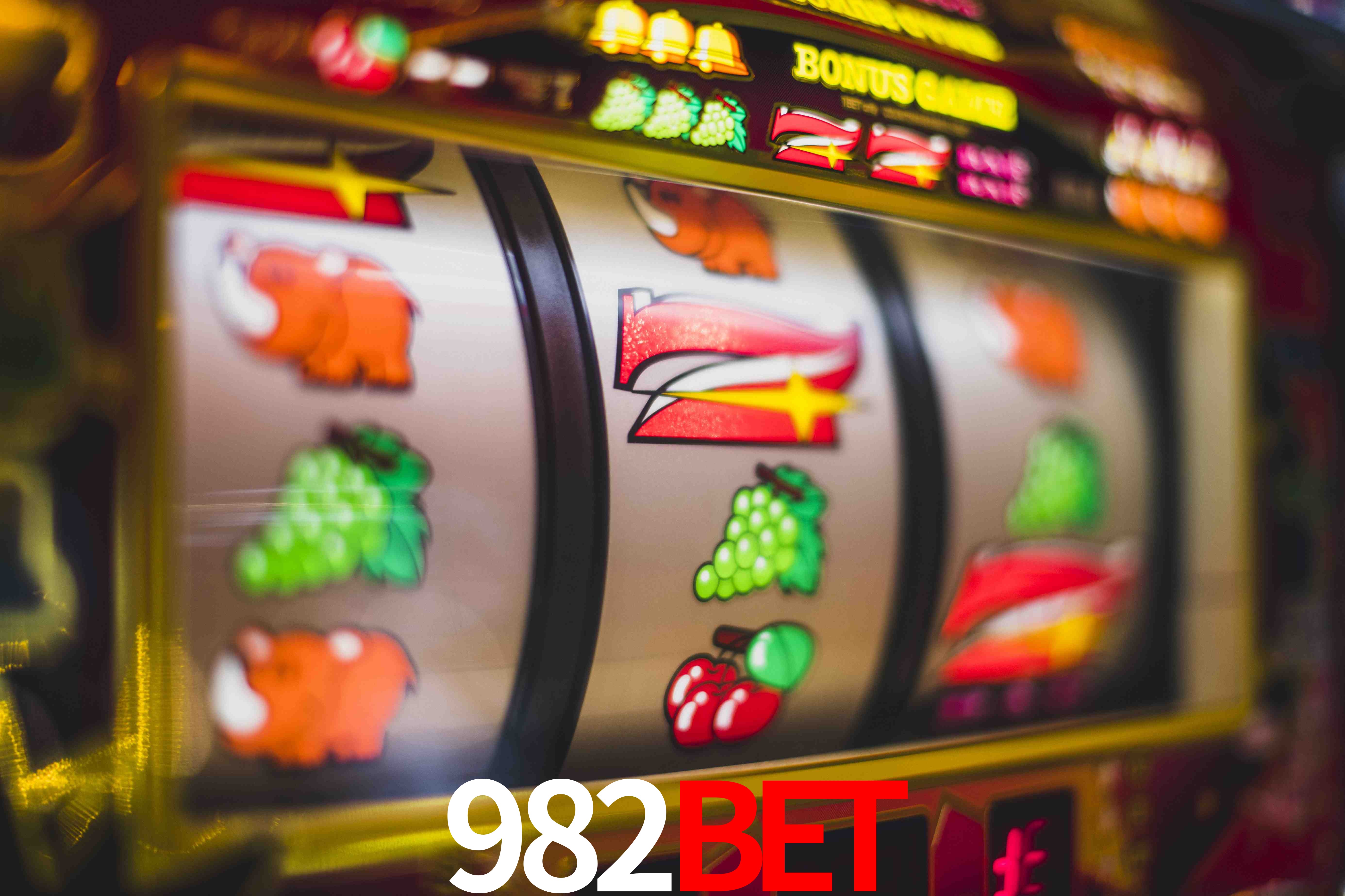 Live Casino 982bet